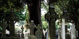 Co zamiast wioślarza?