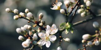 Jak usunąć dziury na twarzy po trądziku?