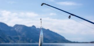 Jaki rozmiar haczyka na okonia? Jaki rozmiar haczyka na okonia?