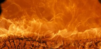 Co to za marka Chloe? Co to za marka Chloe?