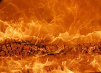 Co to za marka Chloe?