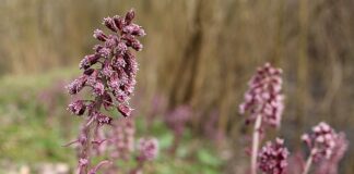 Co typ hybrydyzacji?