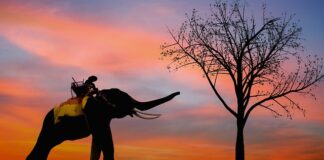 Co powinien zawierać Bob?