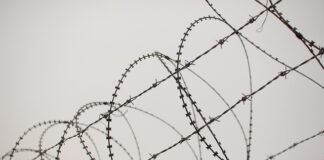 Ile kosztuje zaplatanie koła?