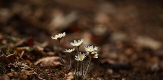 Jak wrócić do naturalnego koloru włosów domowe sposoby? Jak wrócić do naturalnego koloru włosów domowe sposoby?