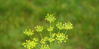 Jak zamontować dulki do łodzi?