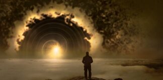 Po jakim czasie widać efekty ćwiczeń na wioślarzu?