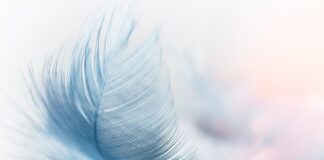 Czym jest wiatr pozorny?