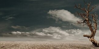 Co na suche ręce z apteki? Co na suche ręce z apteki?