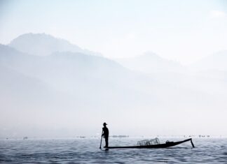 Czy Wioślarz jest skuteczny?