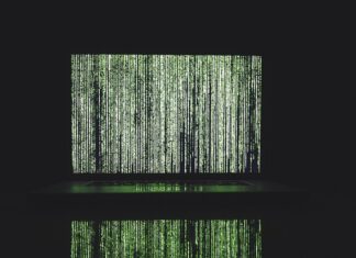 Jakie wiązania do nart zjazdowych?