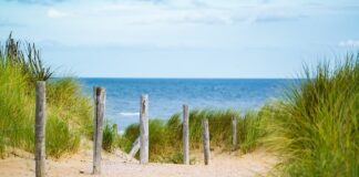 Jak podnieść cienkie włosy?