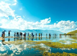 Na czym pływają wioślarze? Na czym pływają wioślarze?