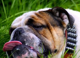 Co jeść na zmęczone mięśnie?