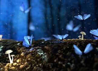 Z jakiego drewna robi się wiosła? Z jakiego drewna robi się wiosła?