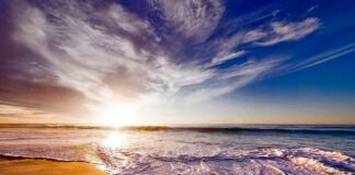 Jaka najlepsza pianka do cienkich włosów?