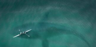 Jak się atakuje w lolu? Jak się atakuje w lolu?