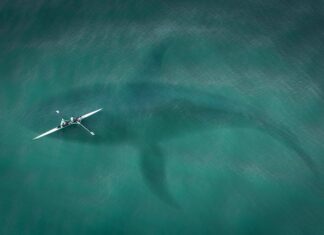 Jak się atakuje w lolu? Jak się atakuje w lolu?